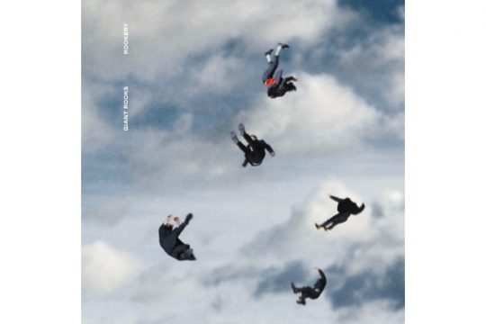 Giant Rooks (Bild: Irrsinn Tonträger)