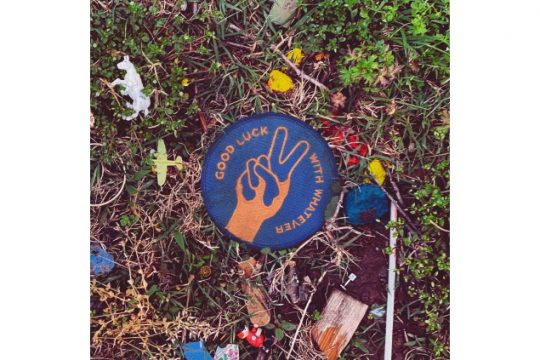 Dawes (Bild: Rounder Rec.)