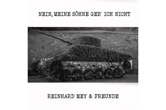 Reinhard Mey (Bild: Electrola)