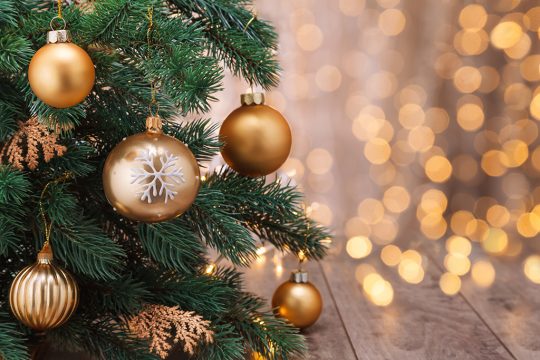 Kugeln am Weihnachtsbaum (© Bildagentur PantherMedia / Vitalina Rybakova)