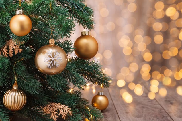 Kugeln am Weihnachtsbaum (© Bildagentur PantherMedia / Vitalina Rybakova)