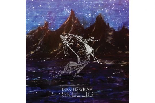 David Gray - Skellig
