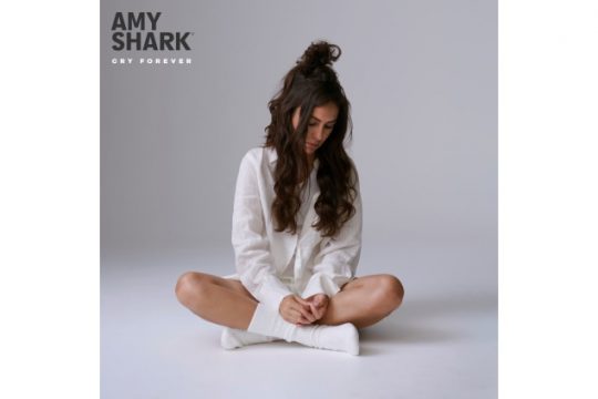 AmyShark