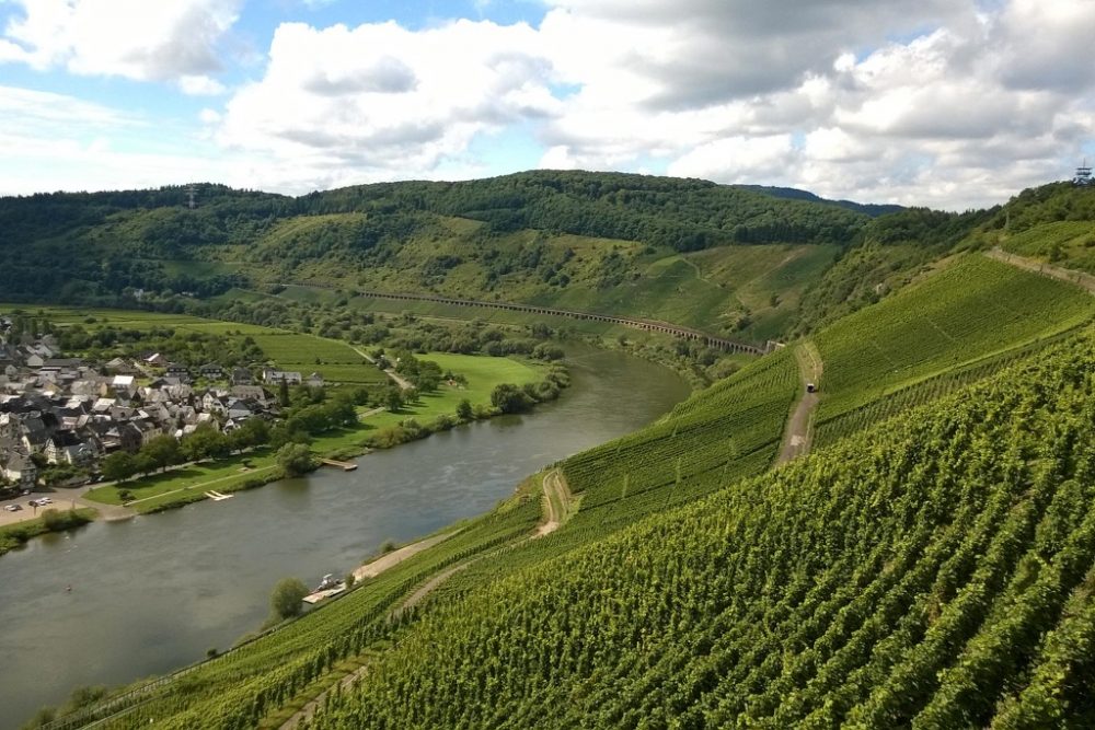 Ansicht Pünderich Weinberge