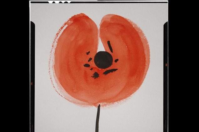 Album Roter Mohn von Roger Matura (Bild: Ozellamusic)