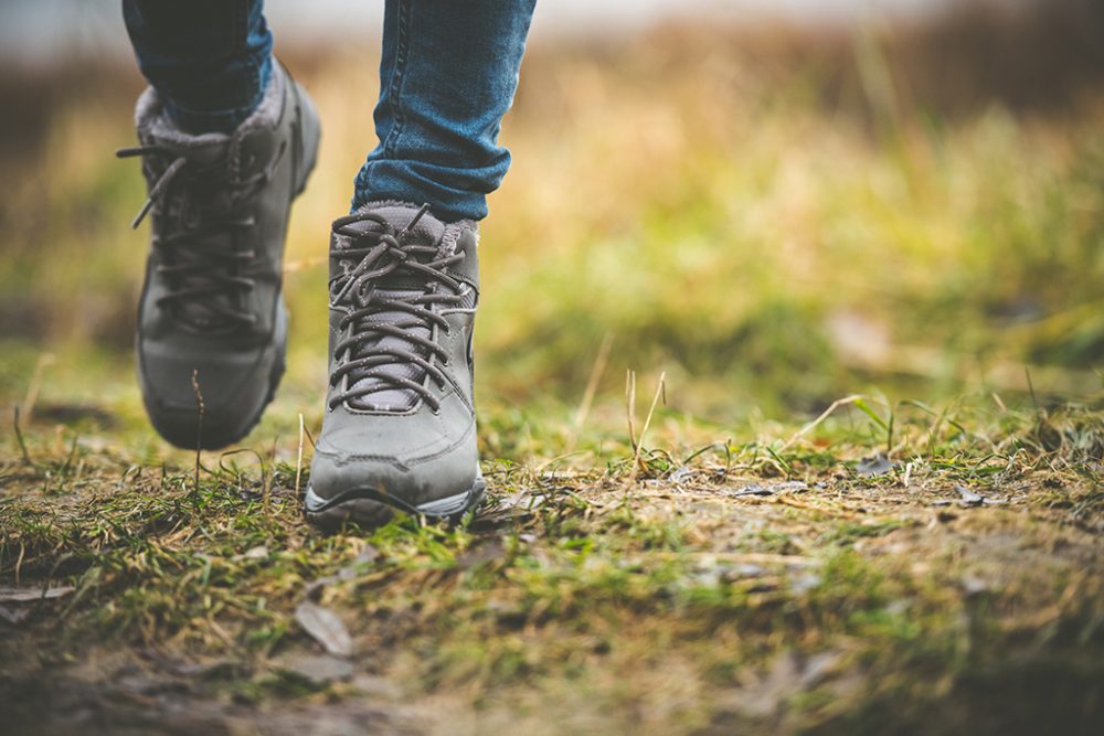 Wanderung im Wald