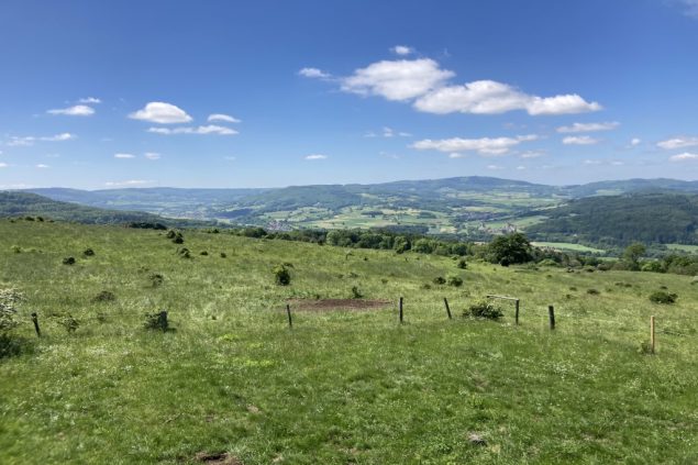 Rhöner Haflingerhof Aussicht