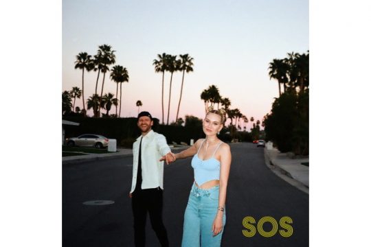 Glasperlenspiel - SOS