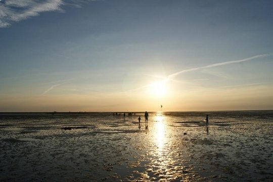 Wattwanderung in den Sonnenuntergang