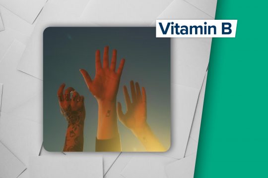 "the record" von boygenius (Universal Music)