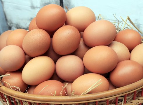 Eier (Illustrationsbild: © PantherMedia Stock Agency/studio2013)