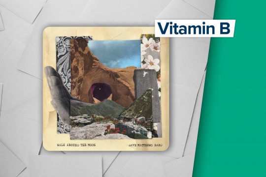 Dave Matthews Band: Walk Around The Moon (Bama Rags Recordings)