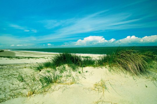 Zeeland (Illustrationsbild: © GlowImagesRF/PantherMedia)