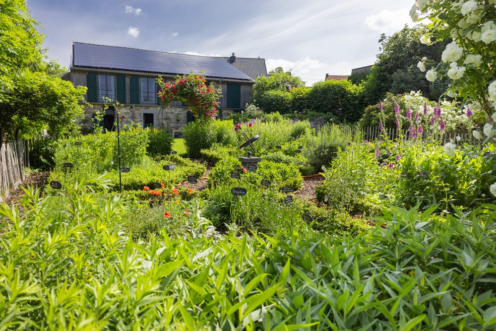 Heilpflanzengarten Viriditas