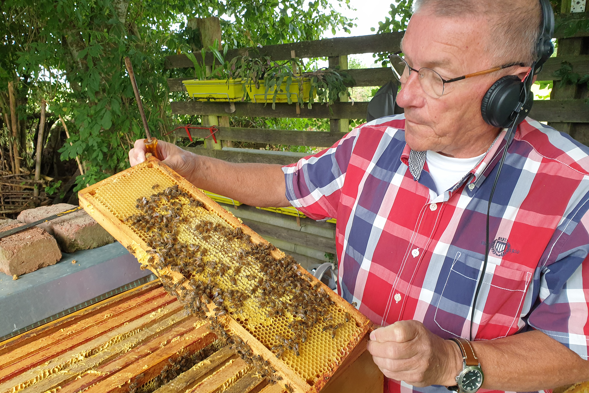 Zu Besuch bei Imker Guido Falter in Crombach (Bild: Lena Orban/BRF)