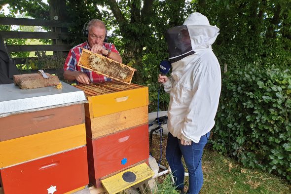 Zu Besuch bei Imker Guido Falter in Crombach (Bild: Lena Orban/BRF)