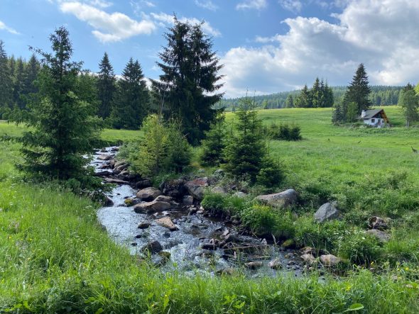 Natur