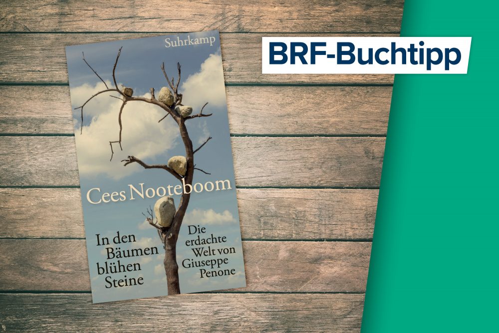 Buchtipp: Cees Nooteboom - In den Bäumen blühen Steine (Buchcover: © Suhrkamp Verlag)