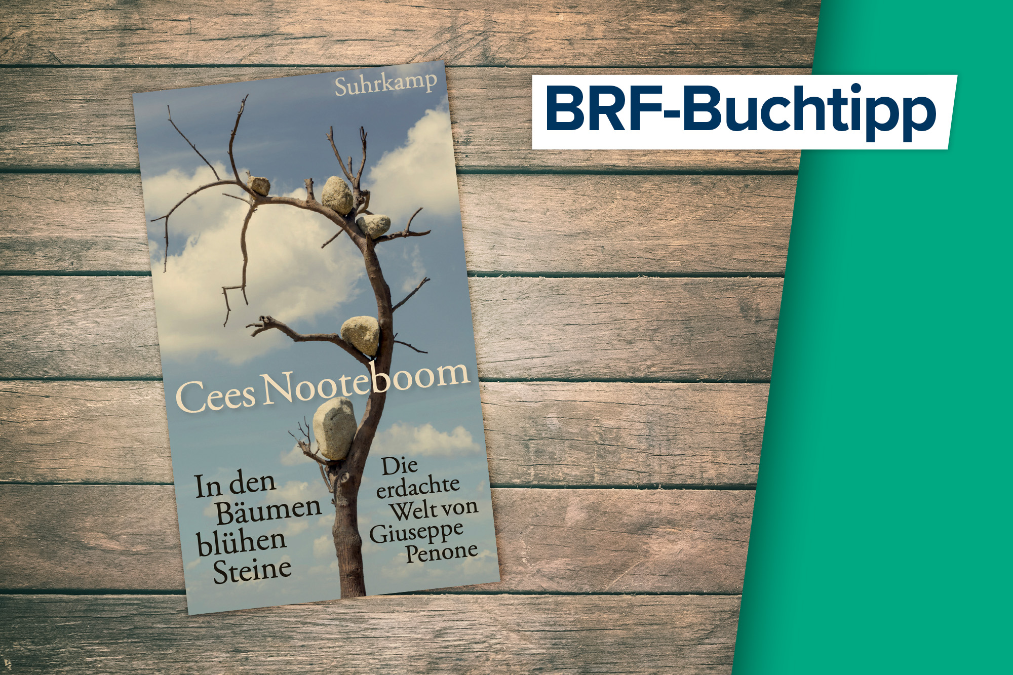 Buchtipp: Cees Nooteboom - In den Bäumen blühen Steine (Buchcover: © Suhrkamp Verlag)