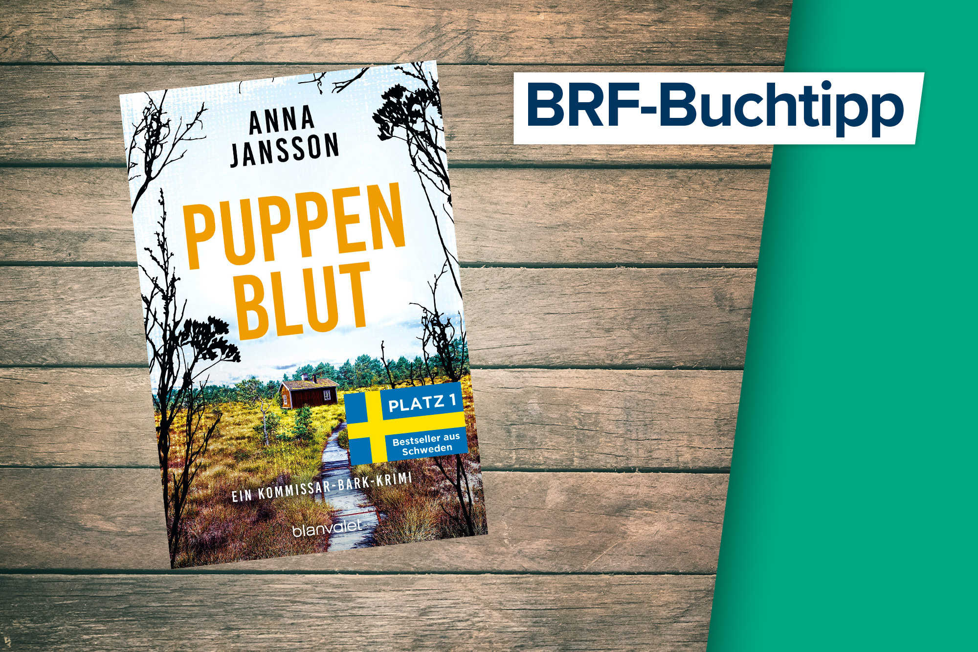 Der Buchtipp auf BRF1: "Puppenblut" von Anna Jansson (Blanvalet Verlag)