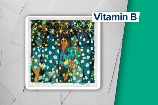 Will Butler + Sister Squares (Label: Merge Records)