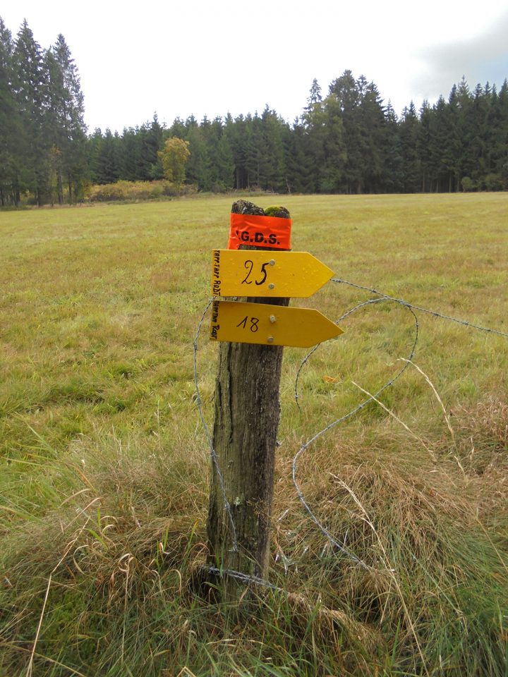 Herbstwanderung: Streckenkennzeichnung (Bild: WC Tapp Tapp Rodt)