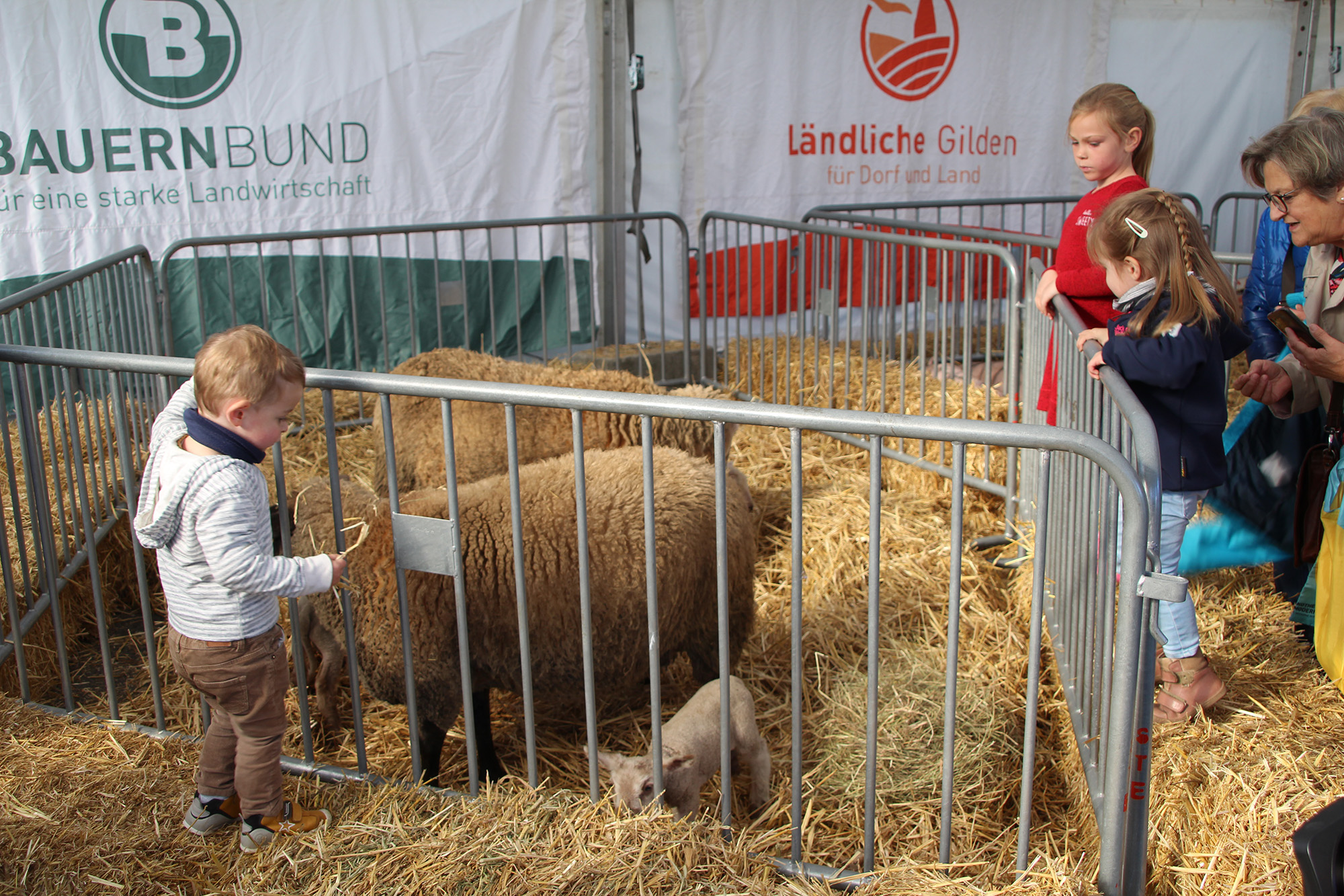 Bauernhof zum Anfassen 2022 in Eupen (Archivbild: Andreaq Lejeune/BRF)