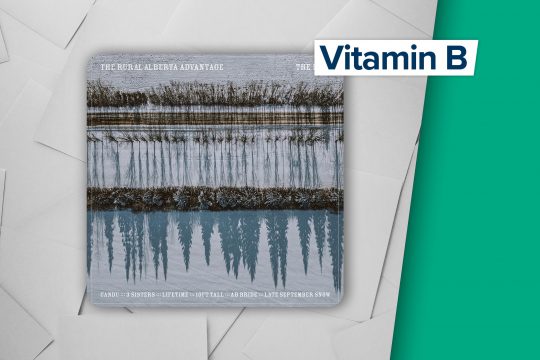 "The Rise" von The Rural Alberta Advantage (Label: Paper Bag Records)