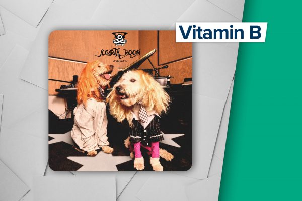 "Hearth Room" von Frost Children (Label: True Panther Sounds)