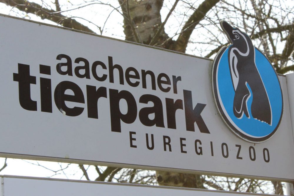 Der Aachener Tierpark