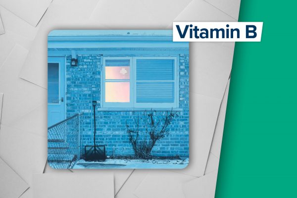 "The Windows" von Ratboys (Label: Topshelf Records)