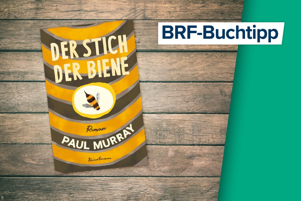 Der Buchtipp auf BRF1: "Der Stich der Biene" von Paul Murray