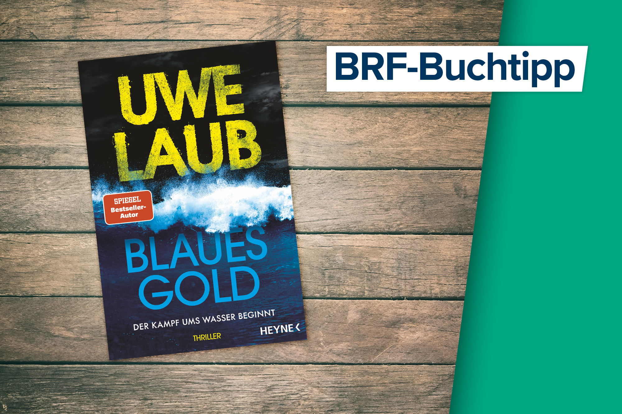 Der Buchtipp vom 27. Mai: "Blaues Gold" von Uwe Laub