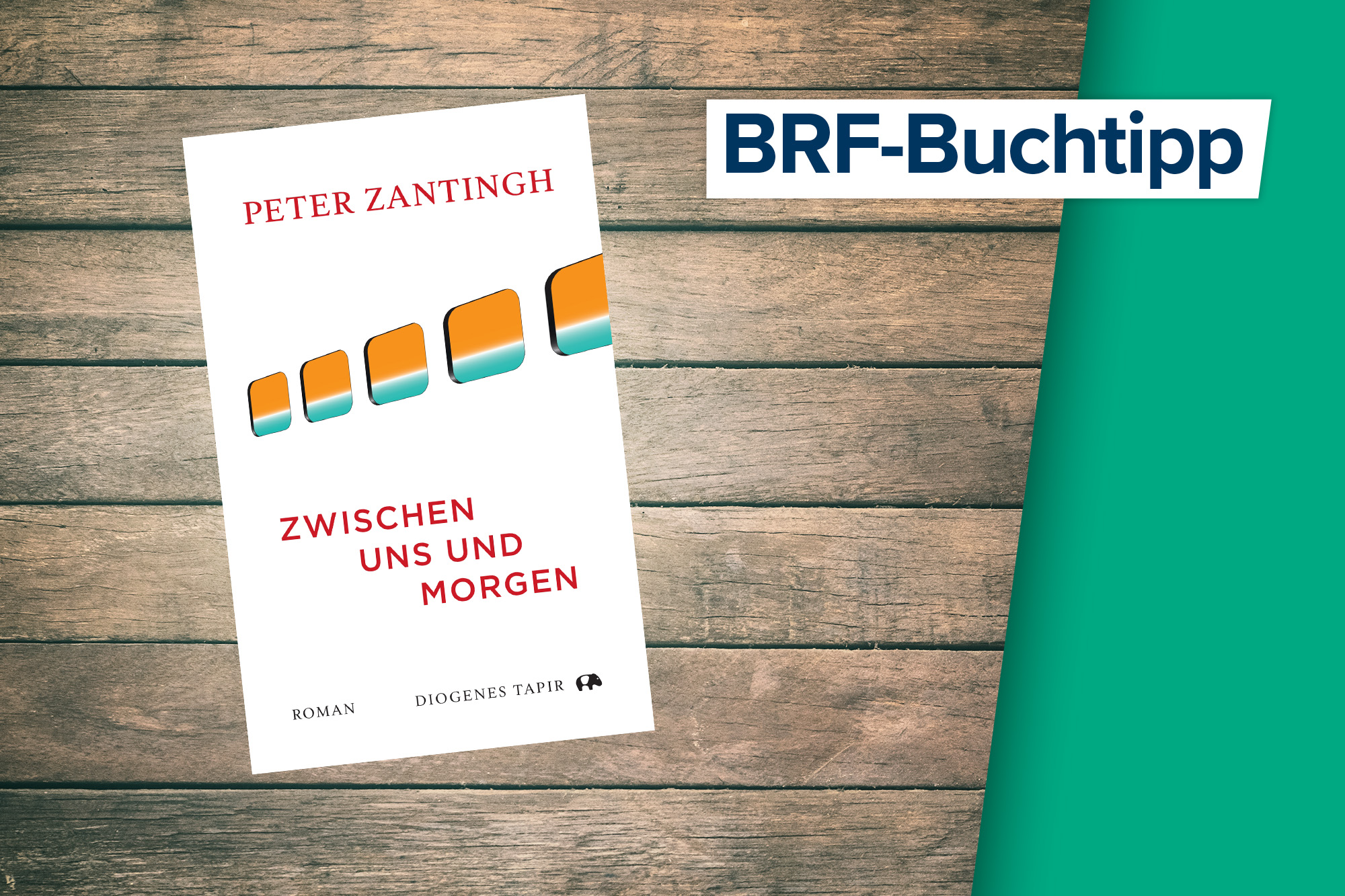 Der Buchtipp vom 3. Juni: "Zwischen uns und morgen" von Peter Zantingh