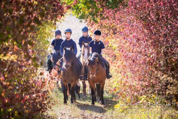 Ausreiten im Herbst