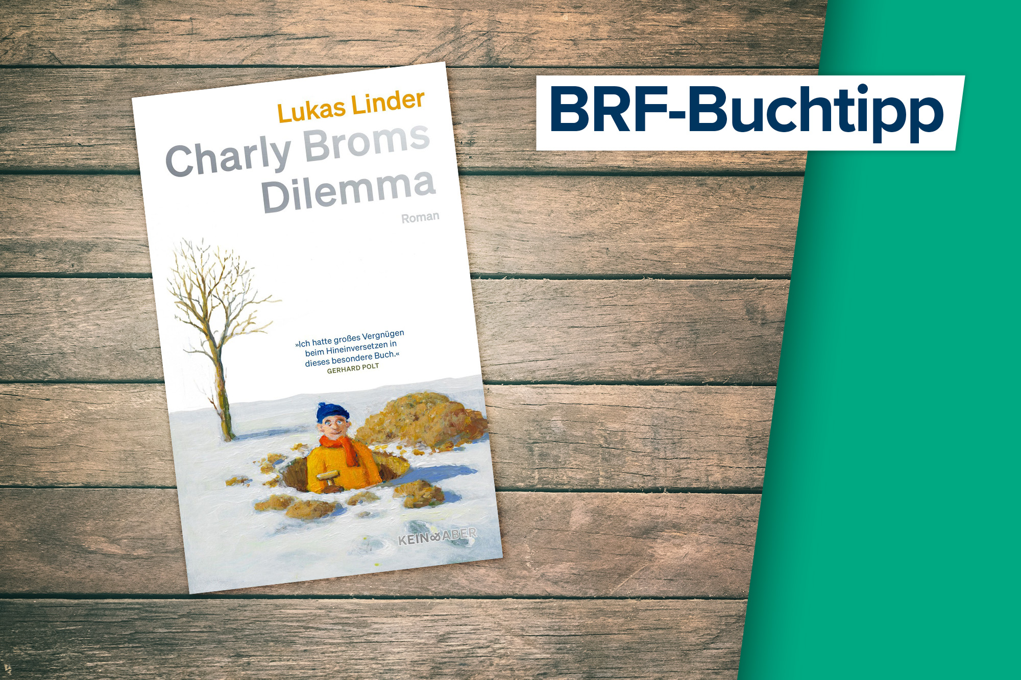 Buchcover vom Roman "Charly Broms Dilemma" von Lukas Linder