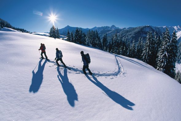 2024 Archiv Tourismusverband Tux-Finkenberg Winterwandern