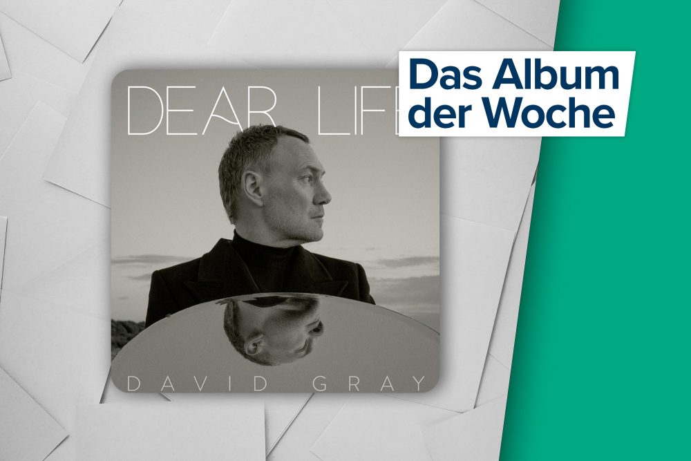 Dear Life von David Gray (Cover: Secretly Distribution)