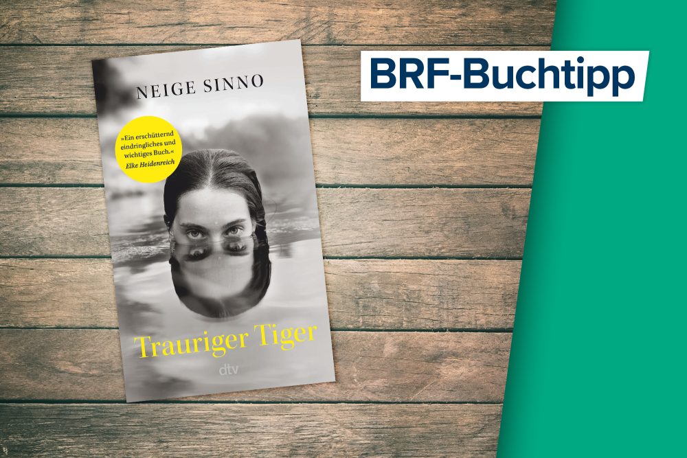 Buchcover zu "Trauriger Tiger" von Neige Sinno