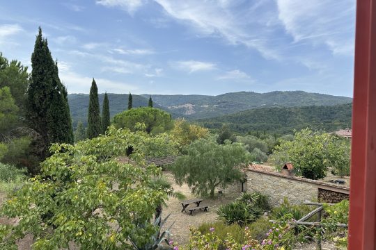 Blick von der Terrasse