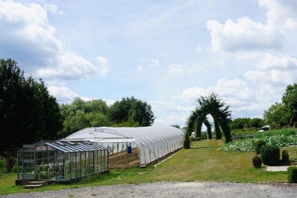 Der Gemüsegarten von Intego