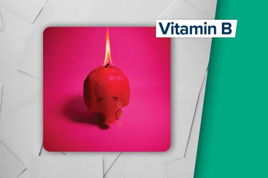 CD-Cover zu "Pink Elephant" von Arcade Fire