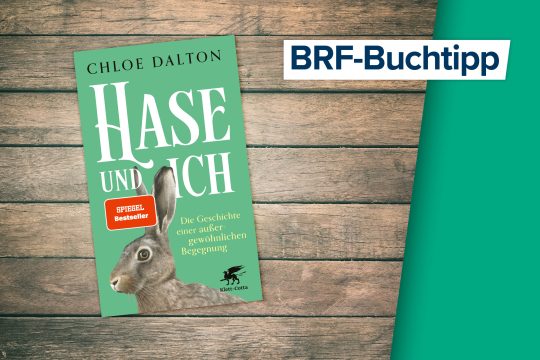 Buchcover zu "Hase und Ich" von Chloe Dalton