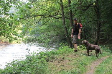 2025 Hotel zur Post Wandern mit Hund