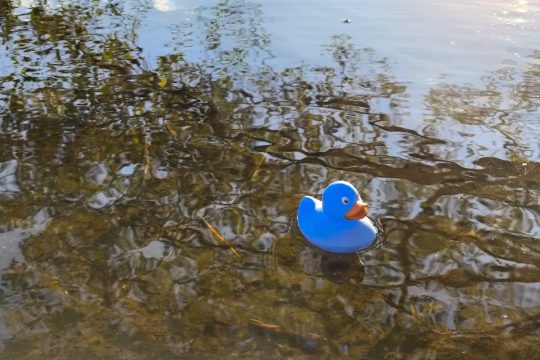 Findet Funki: Jubiläumsente on Tour
