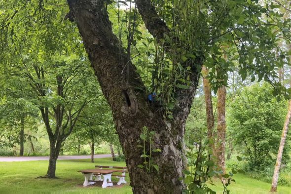 Hier hatte Funki sich versteckt