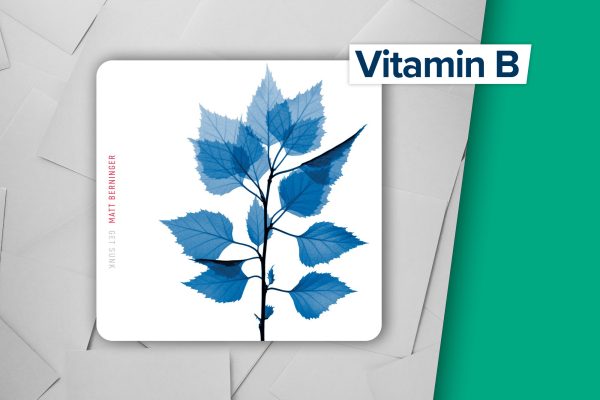 Matt Berninger - Get Sunk