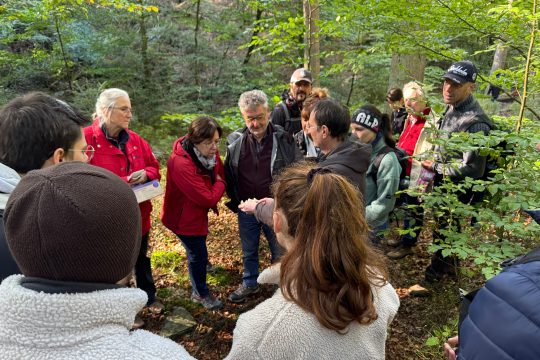 Pilzwanderung rund um Ternell