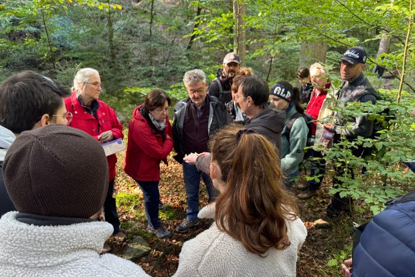 Pilzwanderung rund um Ternell