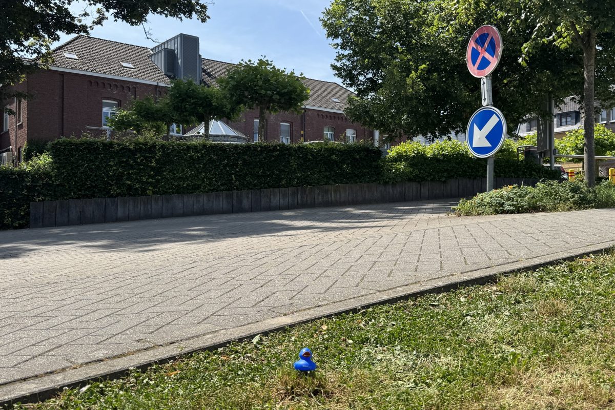 Findet Funki: Tag neun